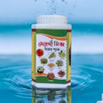 মেহেদী হেয়ার প্যাক